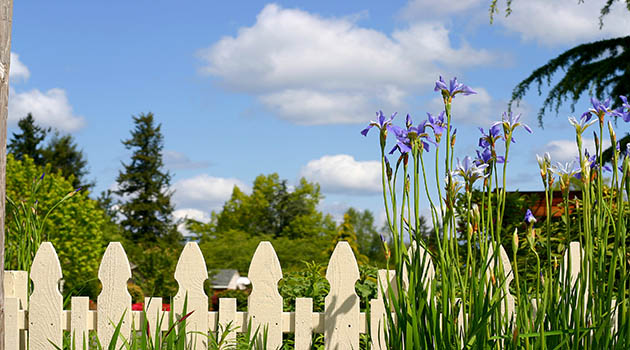 Plantations sur le terrain d'autrui : que dit la jurisprudence ? Plantations sur le terrain d'autrui : que dit la jurisprudence ?
