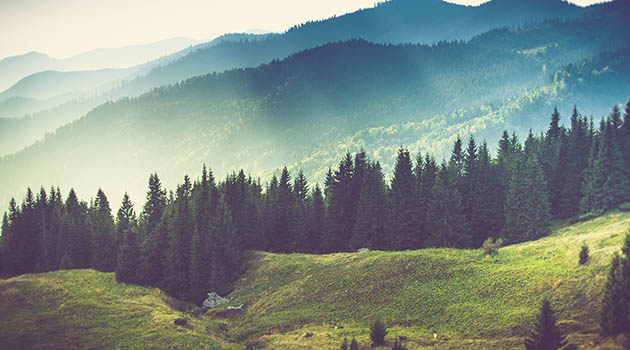 Du nouveau, là-haut, sur ma montagne Du nouveau, là-haut, sur ma montagne